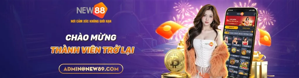 Quy trình hoạt động đối tác qq8 code