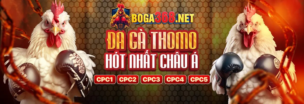 Banner khuyến mãi xổ số qq8 code