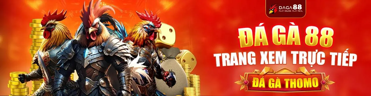 Chương trình Đối tác qq8 code 2026